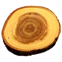 Natural Wood Log Magnet