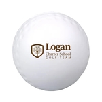 Golf Ball Shape Stress Reliever