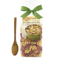 Chicken Noodle Soup & Spoon Set