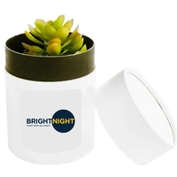 Assorted Succulents in White Round Box