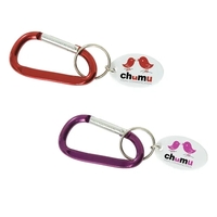 Small Carabiner Keytag