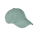 Authentic Pigment Distressed Cap