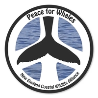 3 In Circle Repositionable Label