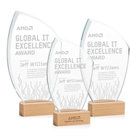 The Clarence Award features a stunning Starfire crystal design that sweeps......