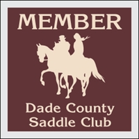 3.5" x 3.5" clear polyester decal with adhesive backing, square corners......