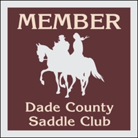 3.5" x 3.5" clear static stick decal with back application, square... from...