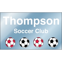 5" x 3" chrome polyester decal with square corners and one... from ASI 89910...