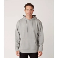 Lightweight Pullover Hoodie