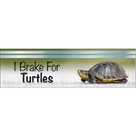 7" x 2" Kwik-Ship Digital Square Cornered Decal