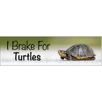 7" x 2" decal with white static stick backing, square corners... from ASI...