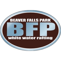 4.5" x 3" oval shaped, chrome polyester decal with a one... from ASI 89910...