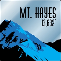 5" x 5" chrome polyester decal with round corners and one... from ASI 89910...