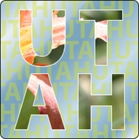 3" x 3" chrome polyester decal with rounded corners and four... from ASI...