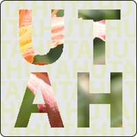 3" x 3" clear static stick decal with back application, round... from ASI...