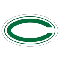 White premium vinyl helmet decal with 4CP printing and pressure sensitive......