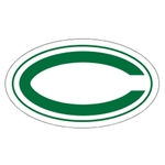 Premium Helmet Decals - White Vinyl