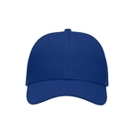 Sportsman Lo-Pro Solid Traditional Cap