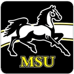 Laminated Square Hitch Cover