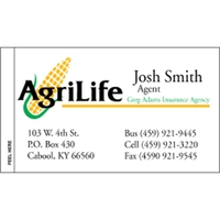 2" x 3.5" appointment business card made of white tag stock... from ASI 89910...