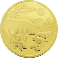 Challenge Coins No Color