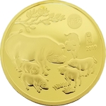 Challenge Coins No Color