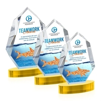 The VividPrint™ Norwood award will refract light in every direction,...