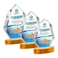 The VividPrint™ Norwood award will refract light in every direction,...