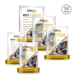 Messina VividPrint™ Award on Alberton Base - Gold