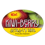 4-Color Process Outdoor Decals - White Removable Vinyl