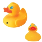 Rubber Duck