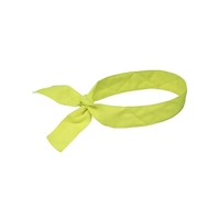 Brisk Cooling Bandana Tie... from ASI 84358 S&S Activewear