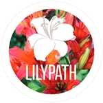 4-Color Process White Polyester Decals