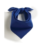 Augusta Sportswear Cotton Bandana