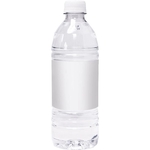 16.9 oz Bottled Water