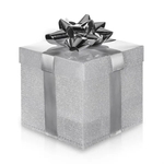 Silver LED Gift Box