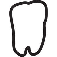 Shaped magnet with 0.020" thick surface, glossy lamination, and die...