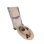 Table Top Poop Corn Hole