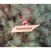 3.5" solid hardwood ornament featuring the shape of the State of... from ASI...