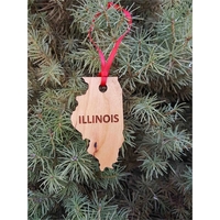 3.5" solid hardwood ornament featuring the shape of the State of... from ASI...