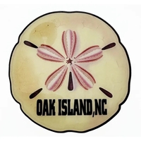 Epoxy Sand Dollar Magnets