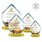 Royal Diamond VividPrint™ Award on Alberton Base - Gold