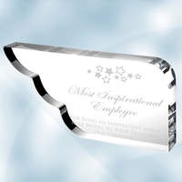 Award made of acrylic in the shape of a wing with... from ASI 47791 Best Deal...