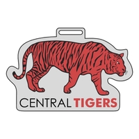 Custom Deluxe Plastic - Clear .030", Matte