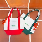 The Mini Canvas Deck Tote