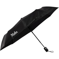 42" Weather Station Auto Super Mini