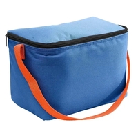 Order Custom Logo Nylon Poly 6 Pack Coolers-Extensive Color Options-10W X......