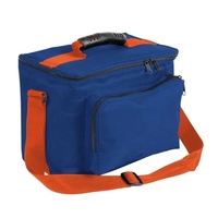 Order Custom Logo Nylon Poly Lunch Coolers-Extensive Color Options-11x8x6....