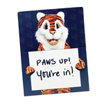 Straight-Cut Pocket Page Printed Full Color