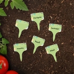 Evergreen 6 Pc. Garden Stake Set