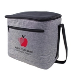 WELLS INSULATED 16 CAN COOLER BAG
